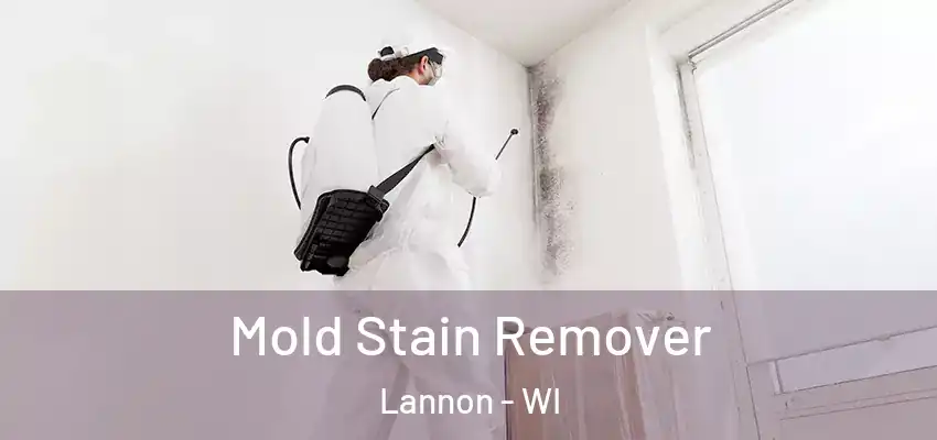  Mold Stain Remover Lannon - WI