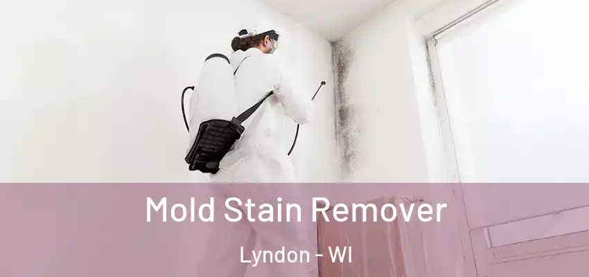  Mold Stain Remover Lyndon - WI