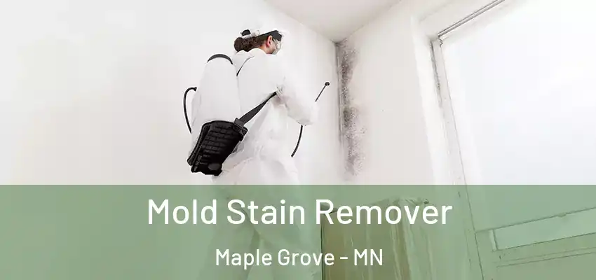 Mold Stain Remover Maple Grove - MN