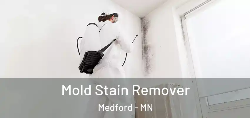  Mold Stain Remover Medford - MN