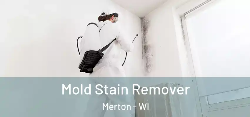  Mold Stain Remover Merton - WI