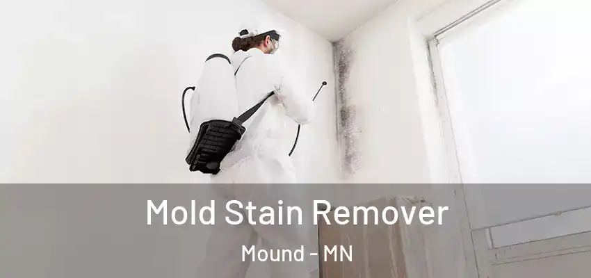  Mold Stain Remover Mound - MN