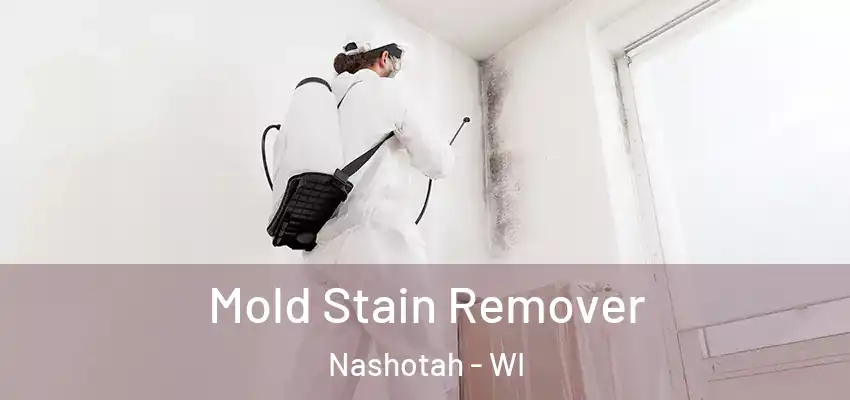  Mold Stain Remover Nashotah - WI