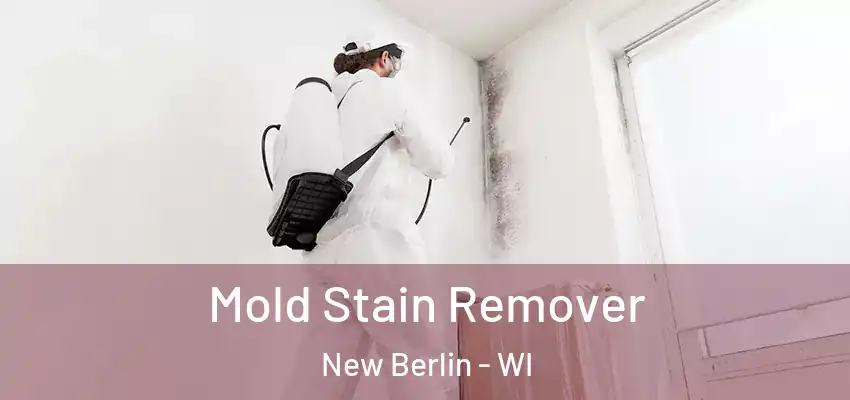  Mold Stain Remover New Berlin - WI