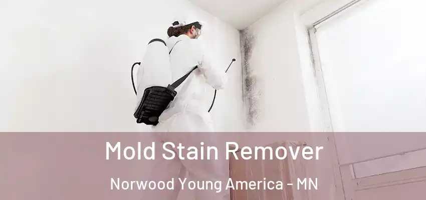  Mold Stain Remover Norwood Young America - MN