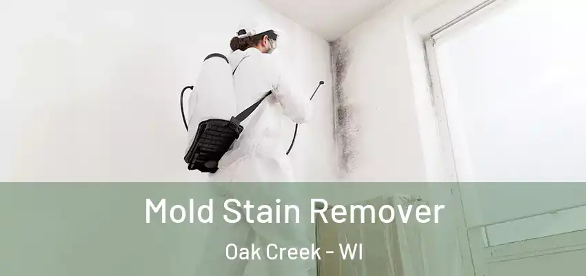  Mold Stain Remover Oak Creek - WI