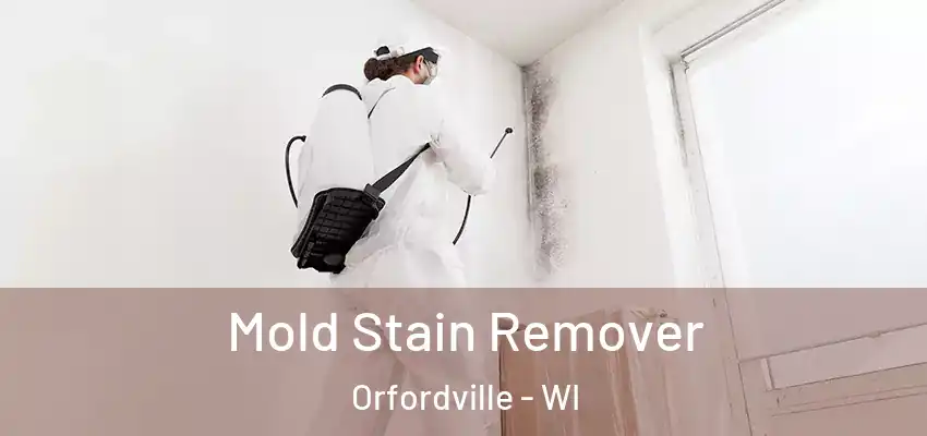  Mold Stain Remover Orfordville - WI