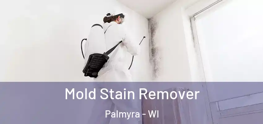  Mold Stain Remover Palmyra - WI