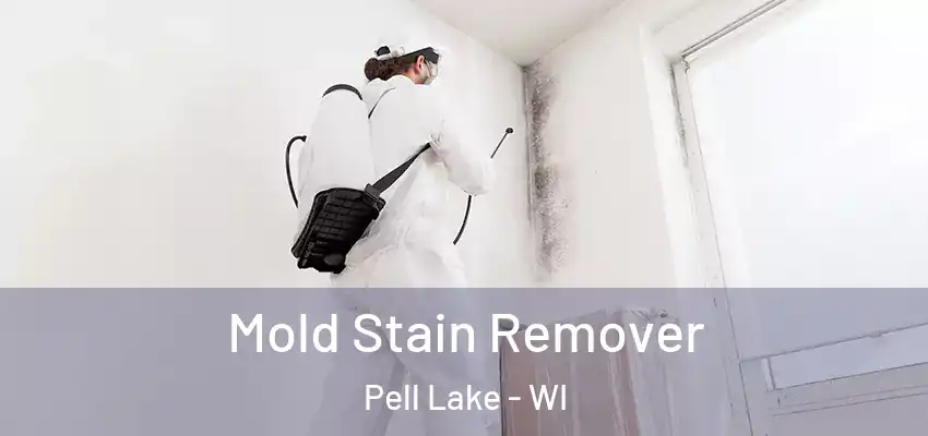  Mold Stain Remover Pell Lake - WI