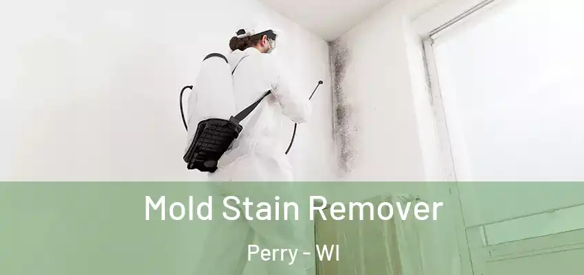  Mold Stain Remover Perry - WI