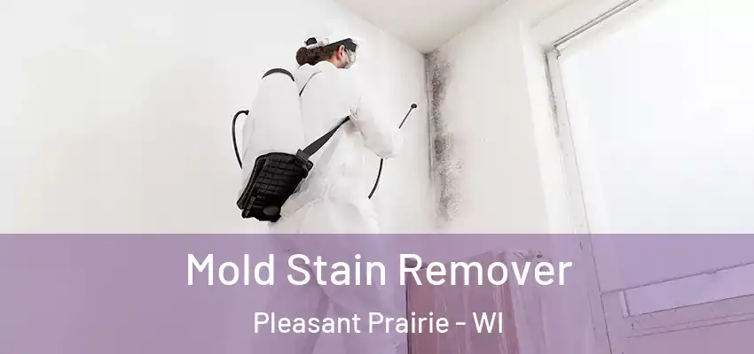  Mold Stain Remover Pleasant Prairie - WI