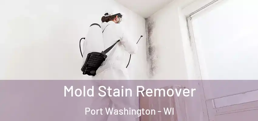  Mold Stain Remover Port Washington - WI