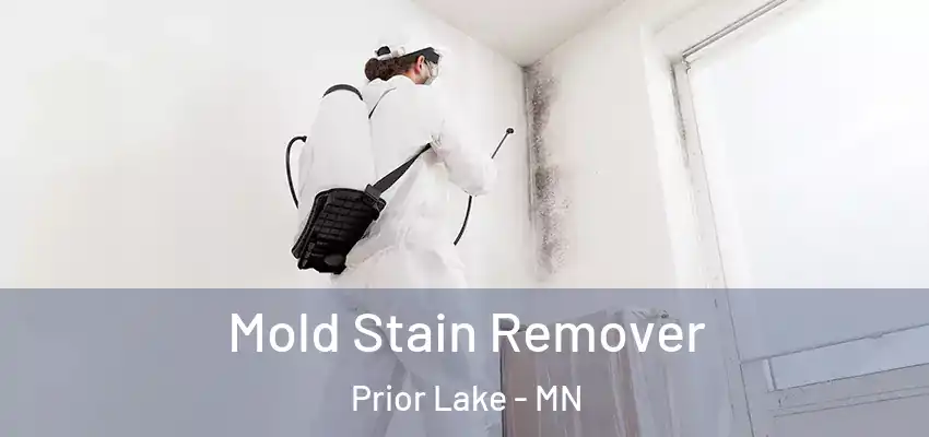  Mold Stain Remover Prior Lake - MN
