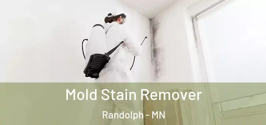  Mold Stain Remover Randolph - MN