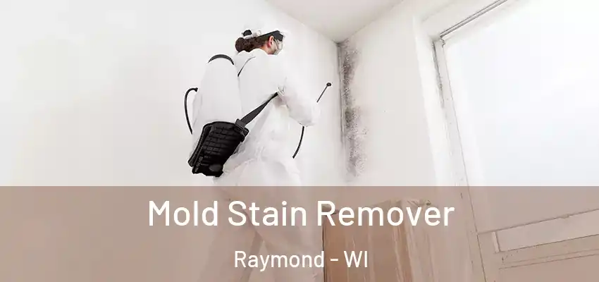  Mold Stain Remover Raymond - WI