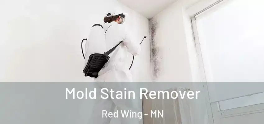  Mold Stain Remover Red Wing - MN