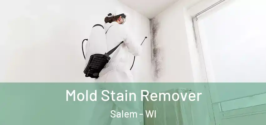 Mold Stain Remover Salem - WI