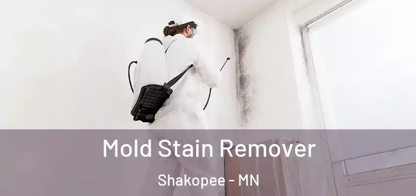  Mold Stain Remover Shakopee - MN