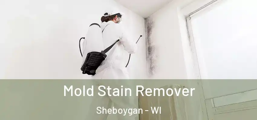  Mold Stain Remover Sheboygan - WI