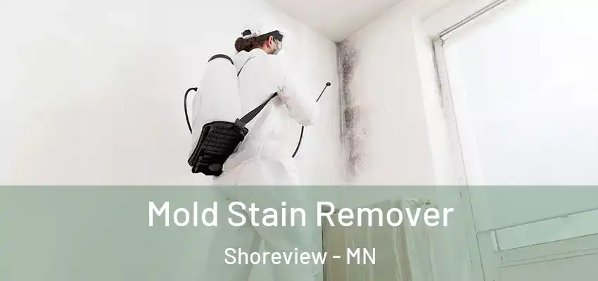  Mold Stain Remover Shoreview - MN