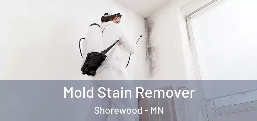  Mold Stain Remover Shorewood - MN