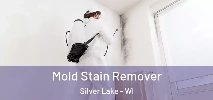  Mold Stain Remover Silver Lake - WI