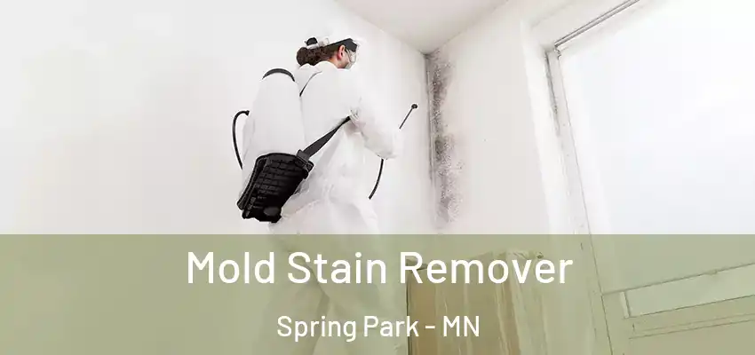  Mold Stain Remover Spring Park - MN