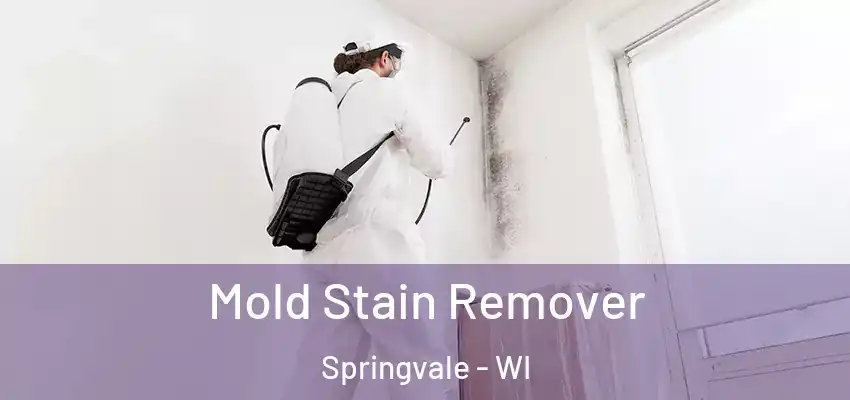 Mold Stain Remover Springvale - WI