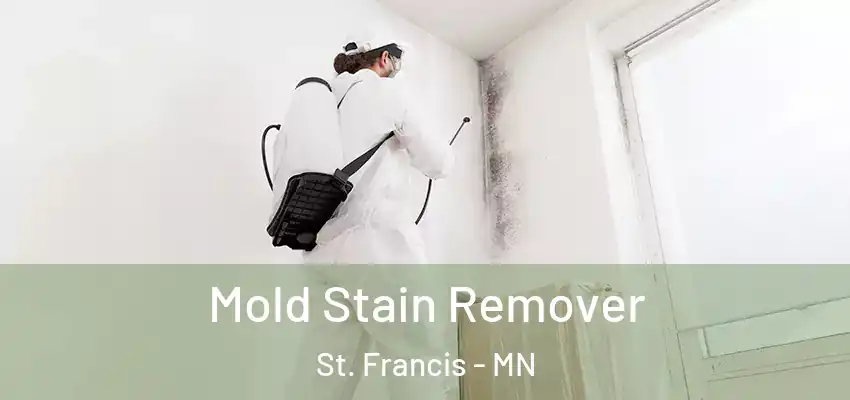  Mold Stain Remover St. Francis - MN