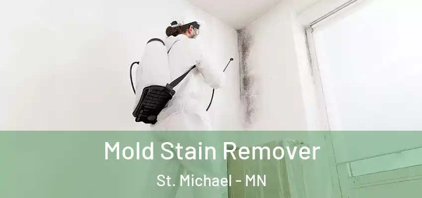  Mold Stain Remover St. Michael - MN
