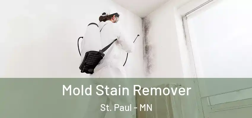  Mold Stain Remover St. Paul - MN
