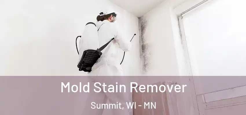  Mold Stain Remover Summit, WI - MN