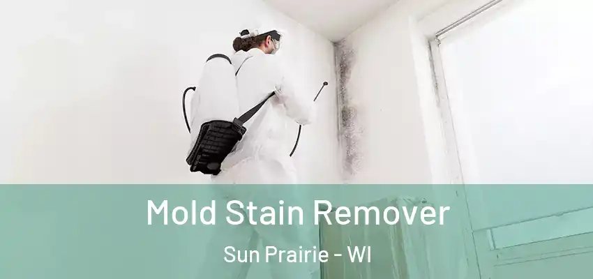  Mold Stain Remover Sun Prairie - WI