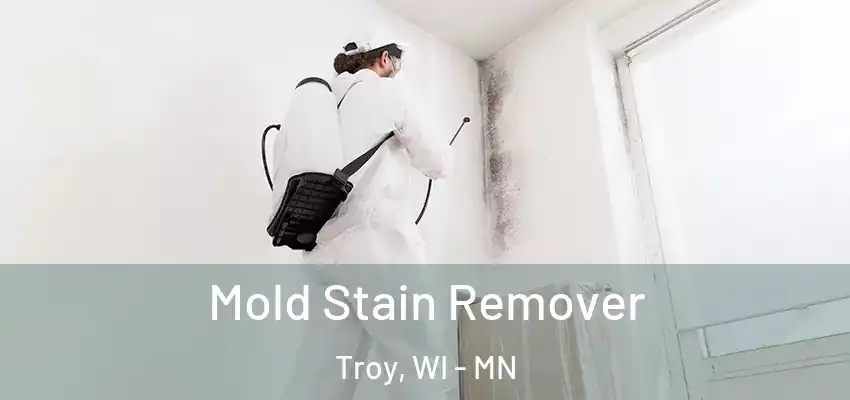  Mold Stain Remover Troy, WI - MN