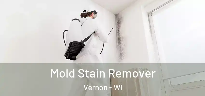  Mold Stain Remover Vernon - WI
