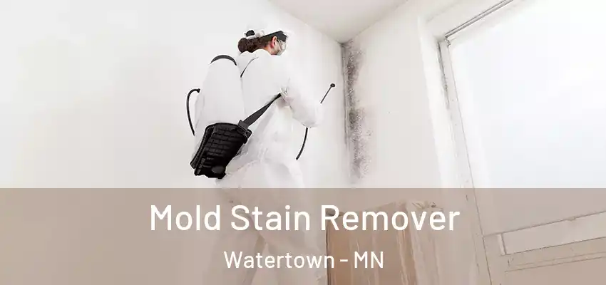  Mold Stain Remover Watertown - MN