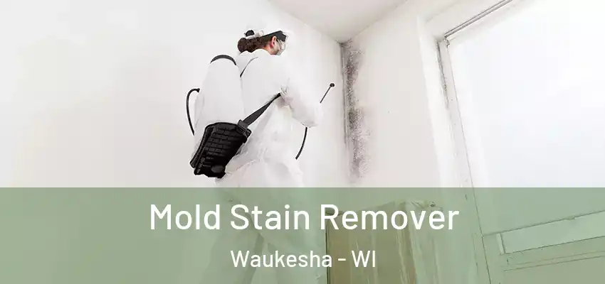  Mold Stain Remover Waukesha - WI