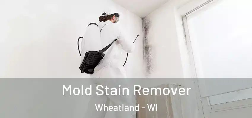  Mold Stain Remover Wheatland - WI