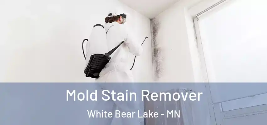  Mold Stain Remover White Bear Lake - MN