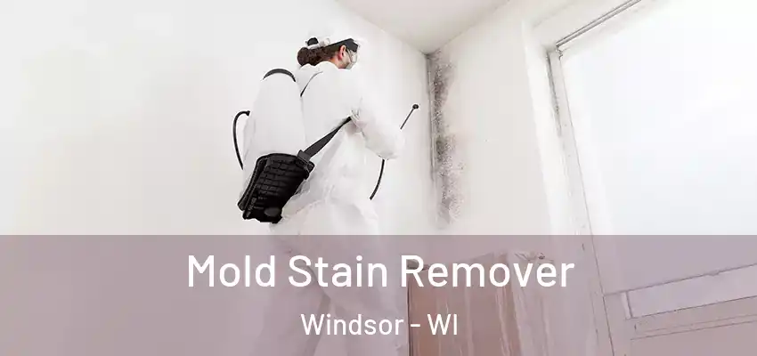  Mold Stain Remover Windsor - WI