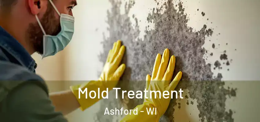 Mold Treatment Ashford - WI