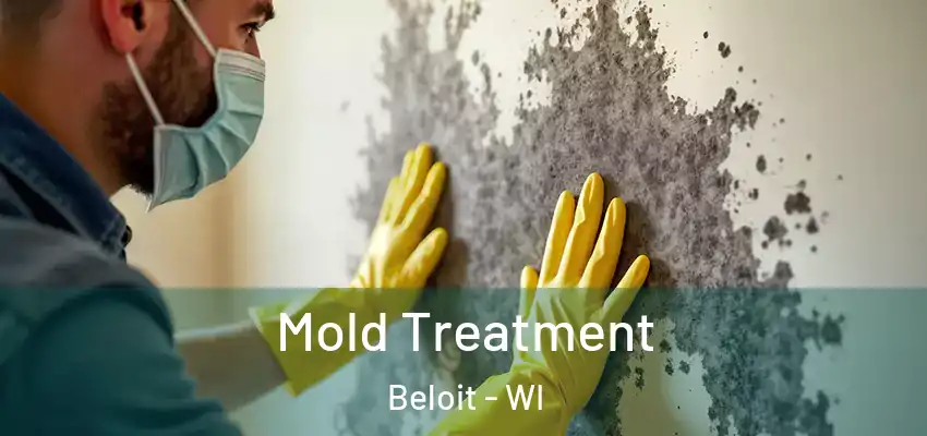Mold Treatment Beloit - WI