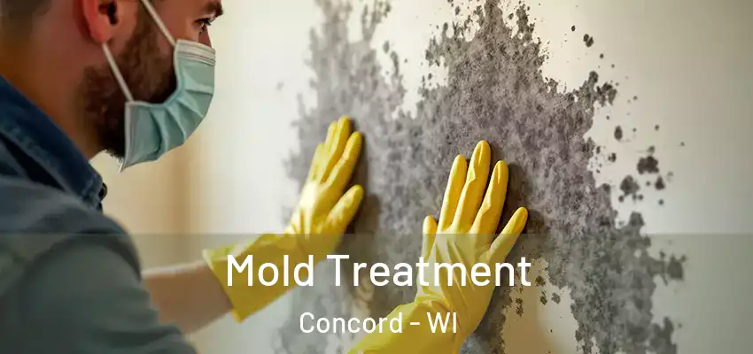 Mold Treatment Concord - WI