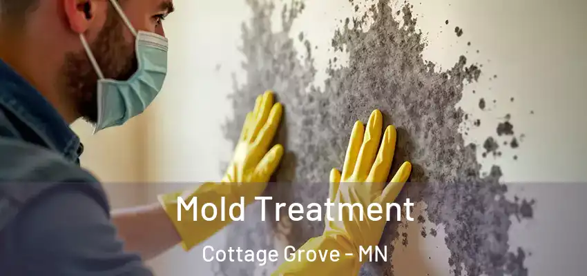  Mold Treatment Cottage Grove - MN
