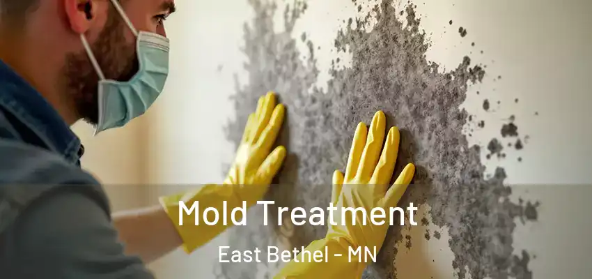  Mold Treatment East Bethel - MN