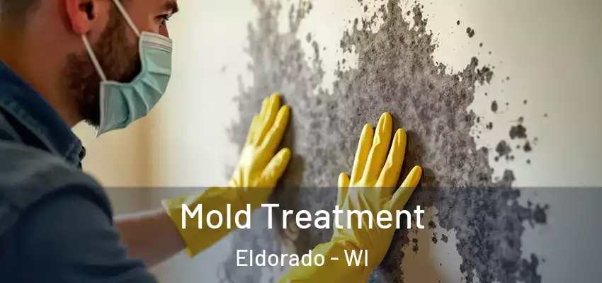 Mold Treatment Eldorado - WI