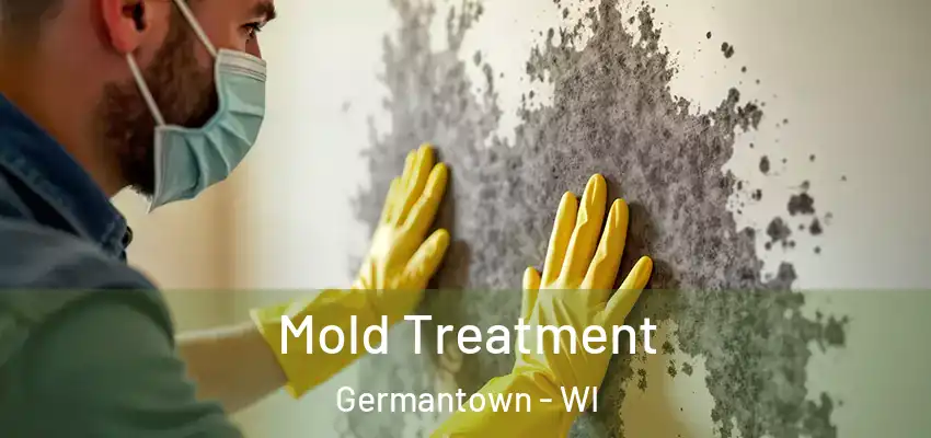  Mold Treatment Germantown - WI