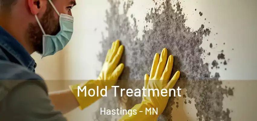 Mold Treatment Hastings - MN
