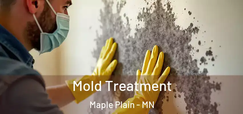 Mold Treatment Maple Plain - MN