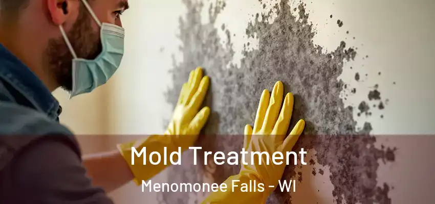  Mold Treatment Menomonee Falls - WI